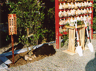 皇孫殿下御誕生奉祝行事｜八剱八幡神社