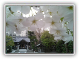 view01｜八剱八幡神社