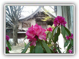 view09｜八剱八幡神社